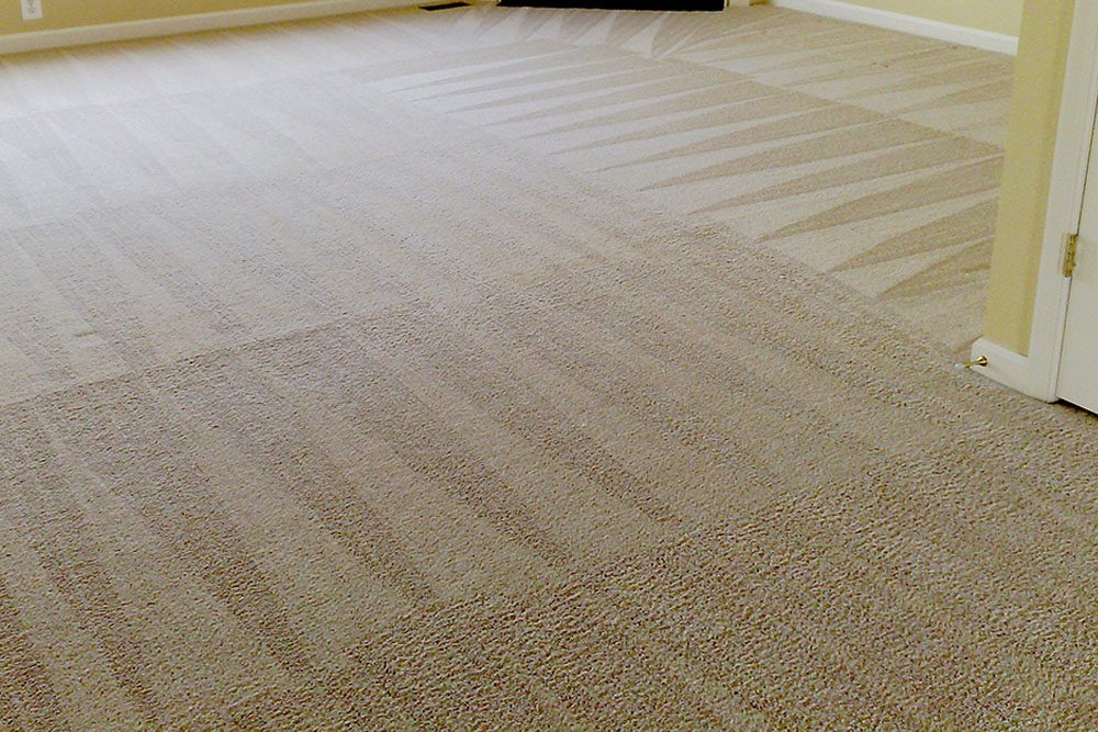 Empty room with freshly cleaned carpet