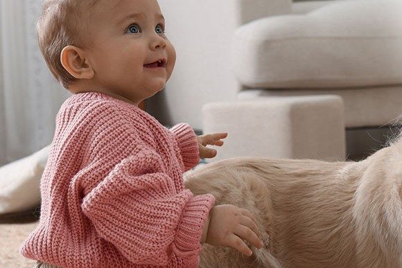 Baby petting a golden retriever on a living room carpet